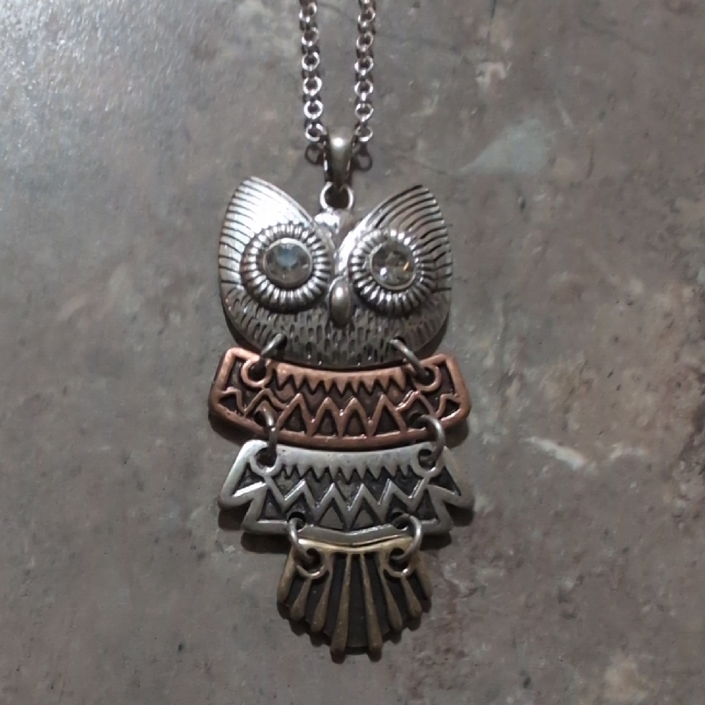 Silver and Bronze Owl Pendant Necklace